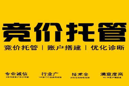 谷歌竞价广告与内容营销的结合策略及实践案例
